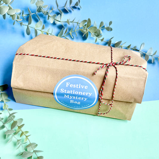 Festive Stationery Mystery Bag – Worth Over £10