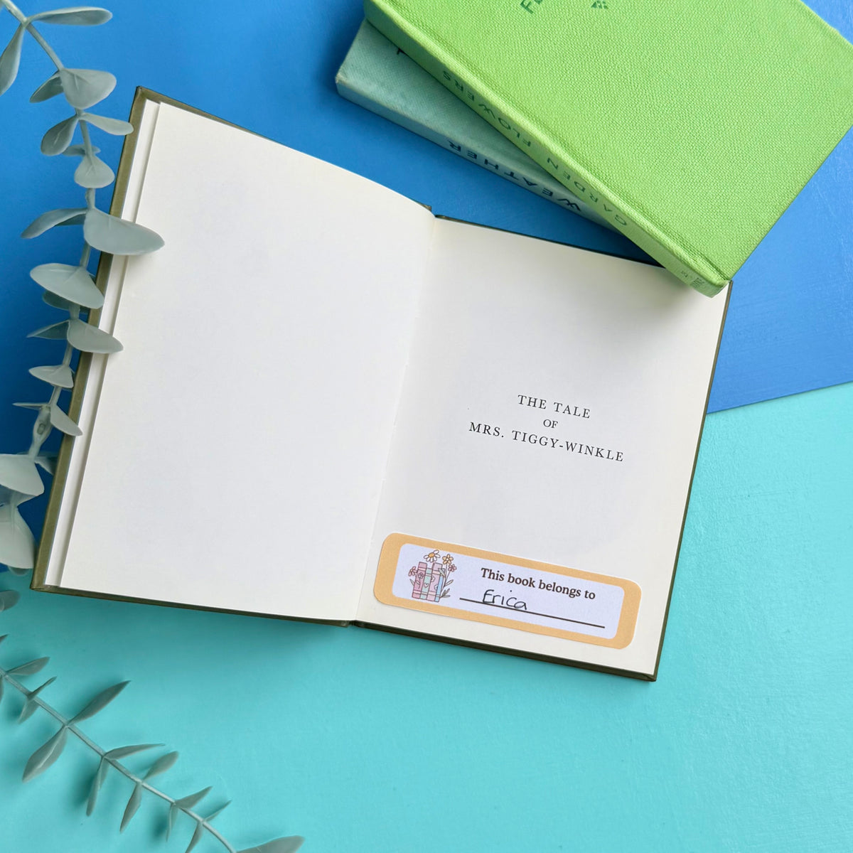 Bookplate Stickers - One More Chapter