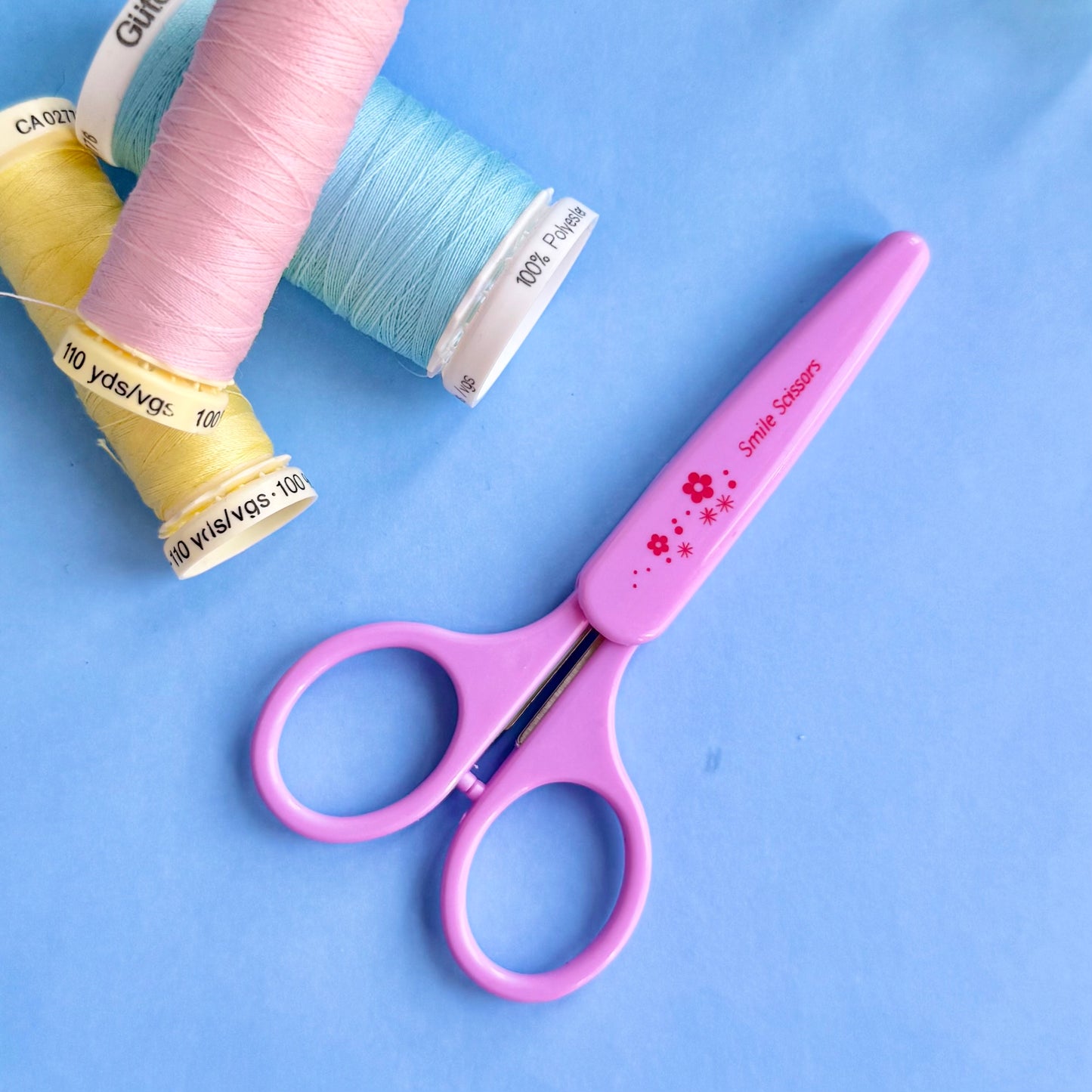 Precision Scissors With Cover
