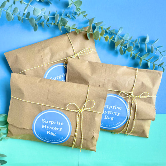 Surprise Mystery Bag – Surprise Stationery, Craft & Accessories