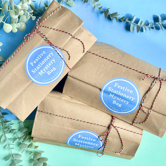 Festive Stationery Mystery Bag – Worth Over £10