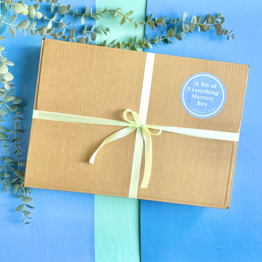 Mystery Box – A Bit of Everything (6 Items)