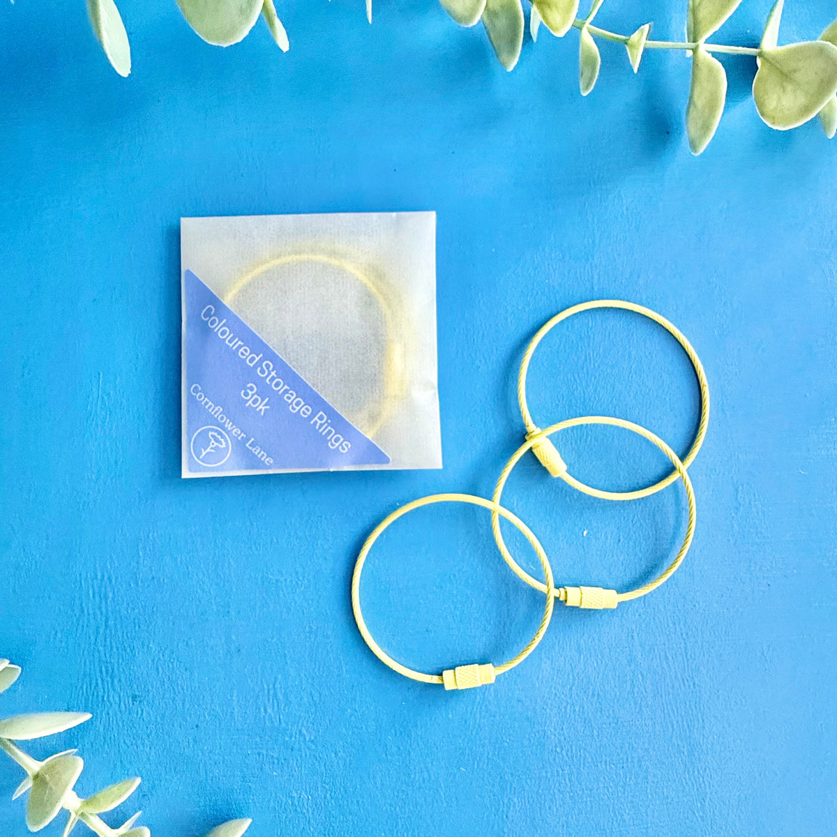 Craft Supplies Storage Ring - 3pk