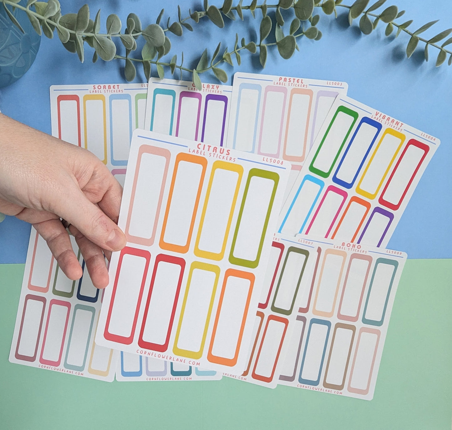 Colour Palette Large Label Stickers