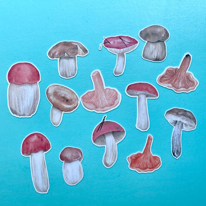 Toadstools & Mushrooms Ephemera Die Cuts