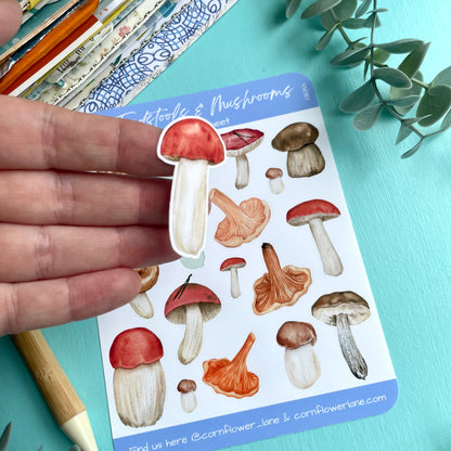 Toadstools & Mushrooms Sticker Sheet
