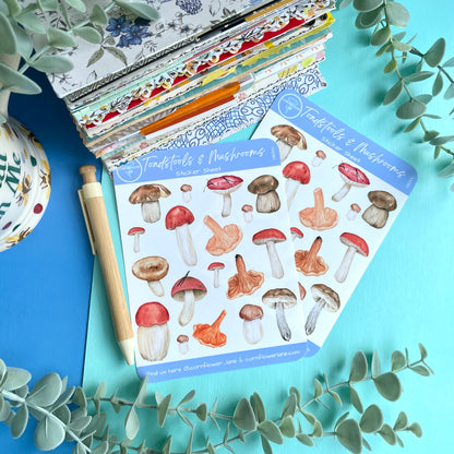 Toadstools & Mushrooms Sticker Sheet