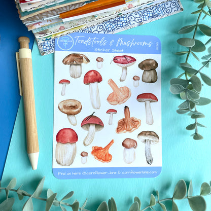 Toadstools & Mushrooms Sticker Sheet